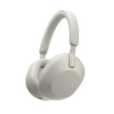 FX MISSONY Sony WH-1000XM5 Silver