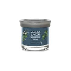 Yankee Candle Aromatická svíčka Signature tumbler malý Bayside Cedar 122 g