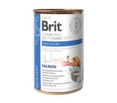 Brit Brit Veterinary Diets GF cat + dog Recovery 400 g konzerva pro psy a kočky