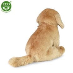 Rappa Plyšový labrador sedící 27 cm ECO-FRIENDLY