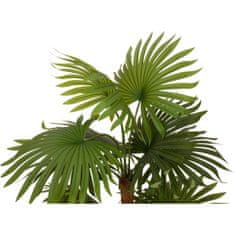Europalms Vějířová palma, 130 cm