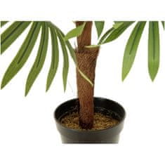 Europalms Vějířová palma, 88 cm