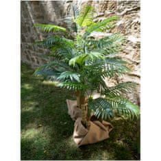 Europalms Palma Areca, 2 kmeny, 120 cm