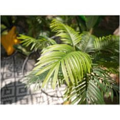 Europalms Palma Areca, 3 kmeny, 150 cm