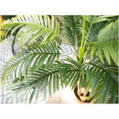 Europalms Palma Areca, 3 kmeny, 150 cm