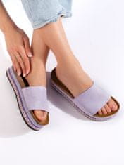 Amiatex Praktické fialové nazouváky dámské bez podpatku + Ponožky Gatta Calzino Strech, odstíny fialové, 38
