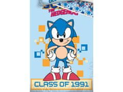 Carbotex Dětské povlečení Ježek Sonic Class Of 1991 140x200 + 70x90 cm