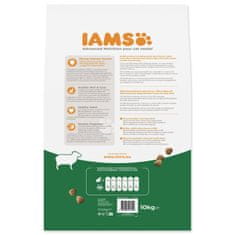 IAMS Krmivo Cat Adult Lamb 10kg