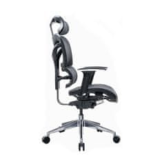 Dalenor Ergonomická kancelářská židle Tech Max, síťovina, černá