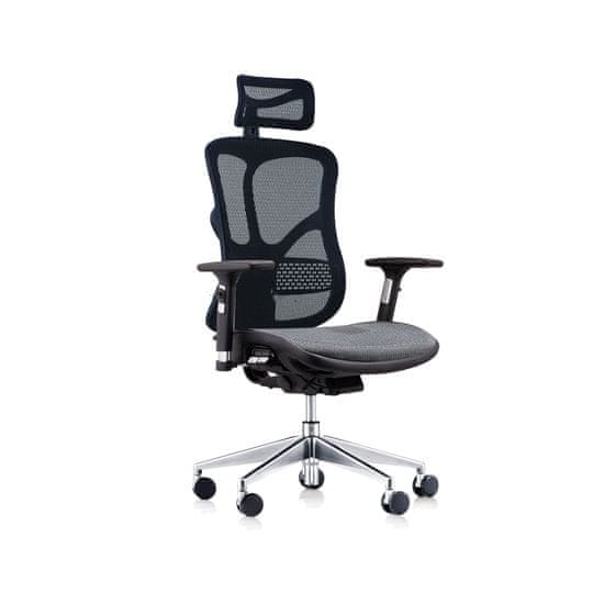 Dalenor Ergonomická kancelářská židle Tech Style, síťovina, černá