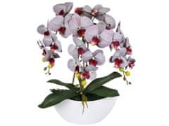 sarcia.eu Umělá orchidejová orchidej v květináči, šedá, realistická, 3 výhonky 53 cm 