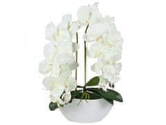 sarcia.eu Umělá orchidejová orchidej v květináči, šedá, živá, 2 výhonky 53 cm 