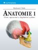 Grada Anatomie 1