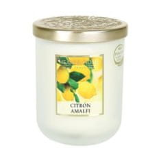 Albi Svíčka velká - Citron Amalfi