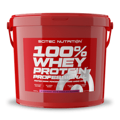 Scitec Nutrition 100% WP Professional 5000 g chocolate hazelnut