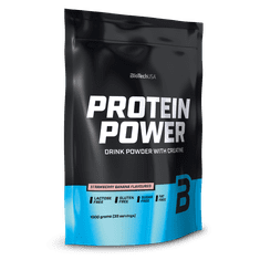 BioTech Protein Power 1000 g strawberry banana