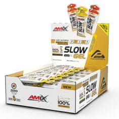 AMIX Performance Slow Gel 40 x 45 g citrus fruits