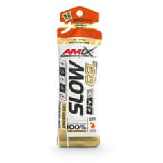 AMIX Performance Slow Gel 40 x 45 g citrus fruits