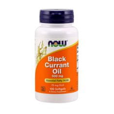 NOW Foods Doplňky stravy NOW Foods Black Currant Oil olej z černého rybízu 500 mg (100 tobolek) 4575