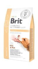 Brit Brit Veterinary Diets GF dog Hepatic 2 kg krmivo pro psy