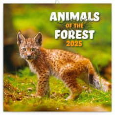 Notique Poznámkový kalendář Zvířátka z lesa 2025, 30 x 30 cm