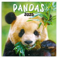 Presco Publishing NOTIQUE Poznámkový kalendář Pandy 2025, 30 x 30 cm