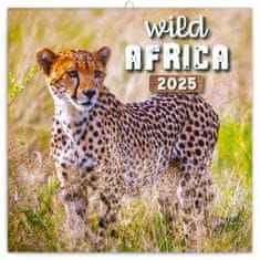 Presco Publishing NOTIQUE Poznámkový kalendář Divoká Afrika 2025, 30 x 30 cm