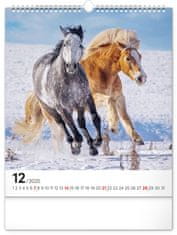 Notique Nástěnný kalendář Koně 2025, 30 x 34 cm