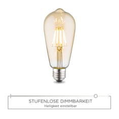 PAUL NEUHAUS LEUCHTEN DIRECT LED Filament, vícenasobná spirála, 4W E27 3000K DIM 08464 LD 08464