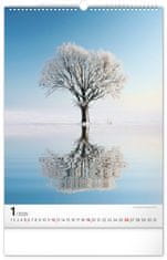 Presco Publishing Nástěnný kalendář Stromy 2025, 33 × 46 cm
