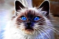 Norimpex Diamantová mozaika Kočka Magic Blue Eyes 30X40 cm