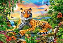 Norimpex Diamantová mozaika Tiger Paradise Coast, Rainbow 30X40 cm