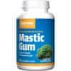 Jarrow Formulas Mastic Gum 500 mg 60 tobolek 2965