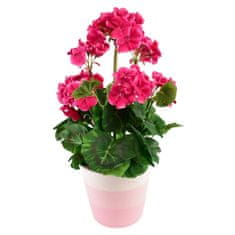 Dommio Muškát růžový v keramickém květináči 40×25 cm