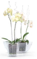 Prosperplast COUBI ISTC01, 60 cm, transparentní, podpěra, pro orchideje