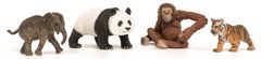 Schleich 42736 Wild Life Asie startovací sada