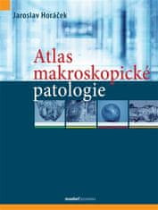 Jaroslav Horáček: Atlas makroskopické patologie