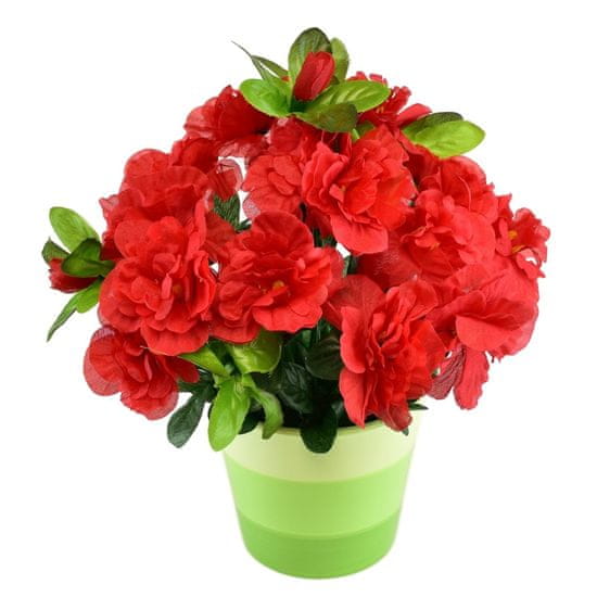 Dommio Azalka červená v keramickém květináči 25×25 cm