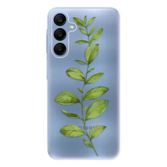 iSaprio Silikonové pouzdro - Green Plant 01 pro Samsung Galaxy A25 5G