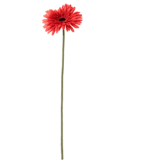 IKEA  Umělá Gerbera červená 50 cm