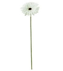 IKEA  Umělá Gerbera bílá 50 cm