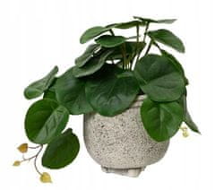 Kaemingk Zelená umělá rostlina v květináči do obývacího pokoje 21x17x18 cm