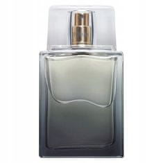 Avon TTA for Him EDT