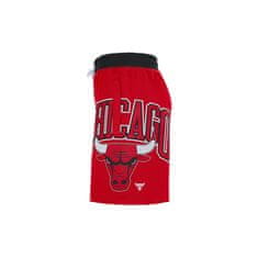 Nike Kalhoty červené 188 - 192 cm/XL Nba Chicago Bulls Courtside 75