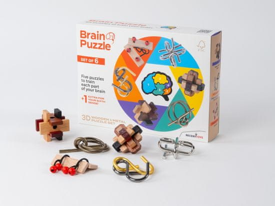 RecentToys Brain Puzzle - sada 6 kusů