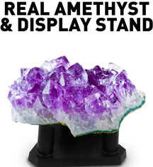 Bandai National Geographic Crystal Growing Kit Purple