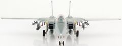 Hobby Master Grumman F14B Tomcat, US NAVY, "OEF", VF-143 "Pukin Dogs", 2002, 1/72