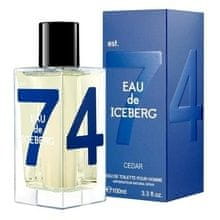 Iceberg Iceberg - Eau de Iceberg Cedar pour Homme EDT 100ml 