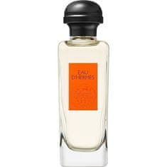 Hermès Eau D´Hermès - EDT - TESTER 100 ml