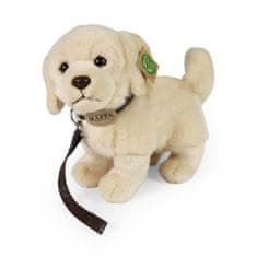 Rappa Plyšový pes zlatý retrívr stojící s vodítkem 25 cm ECO-FRIENDLY
